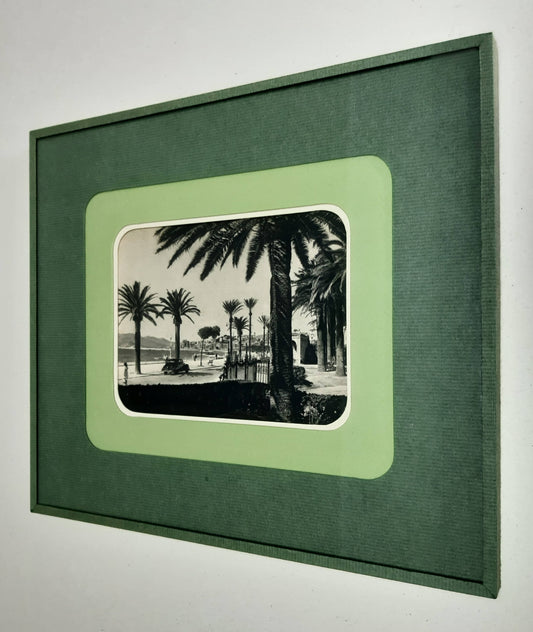 "Monte Carlo. Palmiera". Carte postale ancienne dans son encadrement.